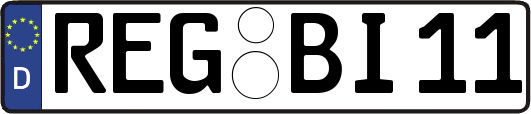REG-BI11