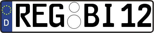 REG-BI12