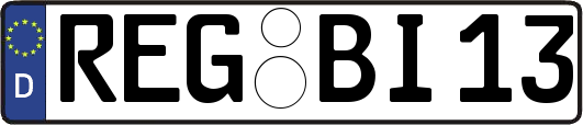 REG-BI13