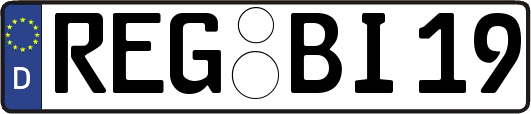 REG-BI19