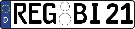 REG-BI21
