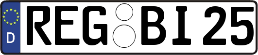 REG-BI25