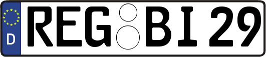REG-BI29