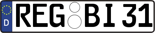 REG-BI31