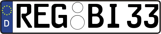 REG-BI33
