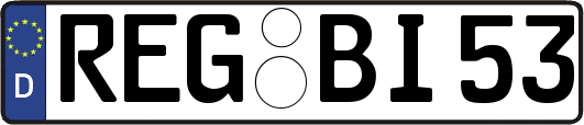 REG-BI53