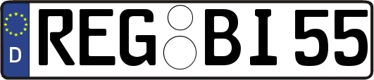 REG-BI55