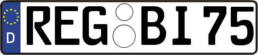 REG-BI75