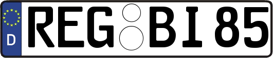REG-BI85