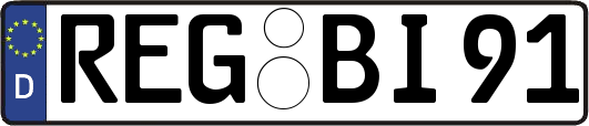 REG-BI91