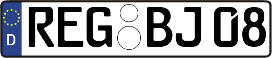 REG-BJ08