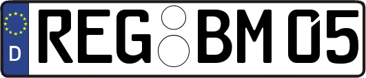REG-BM05