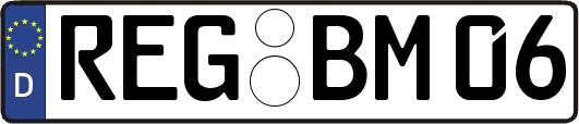 REG-BM06