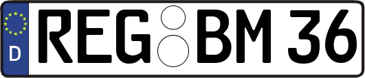 REG-BM36