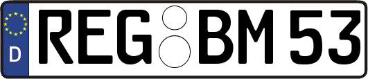 REG-BM53