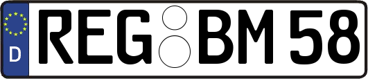 REG-BM58