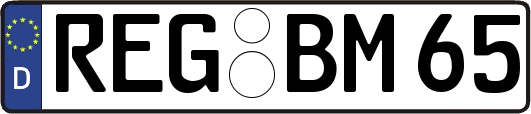REG-BM65
