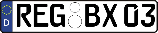 REG-BX03