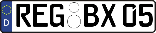 REG-BX05