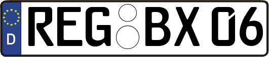 REG-BX06