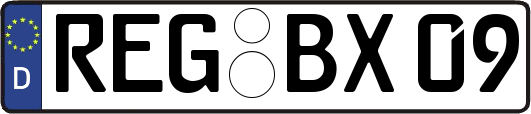 REG-BX09