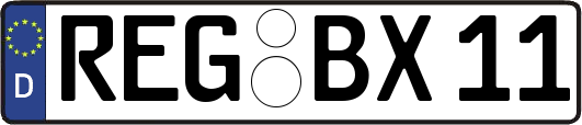 REG-BX11