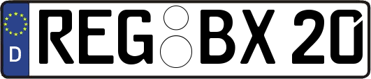 REG-BX20