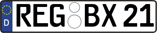 REG-BX21