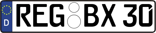 REG-BX30