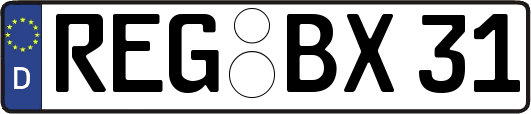 REG-BX31