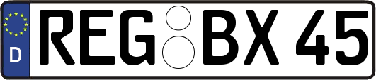 REG-BX45