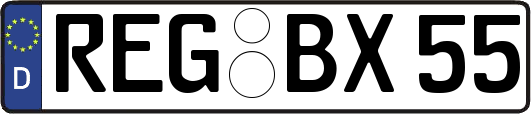 REG-BX55