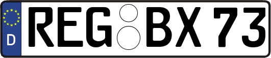 REG-BX73
