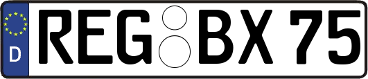 REG-BX75