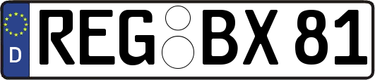 REG-BX81