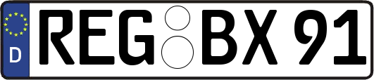REG-BX91