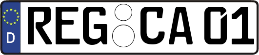 REG-CA01