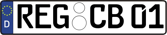 REG-CB01
