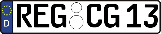 REG-CG13