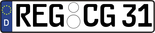 REG-CG31