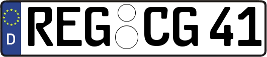 REG-CG41