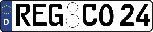 REG-CO24