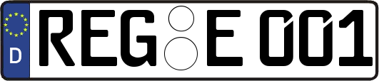 REG-E001