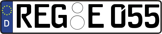 REG-E055