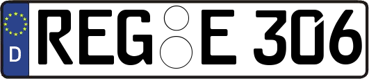 REG-E306