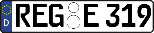 REG-E319