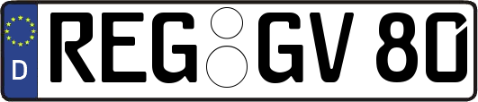 REG-GV80