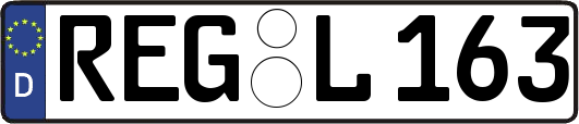 REG-L163