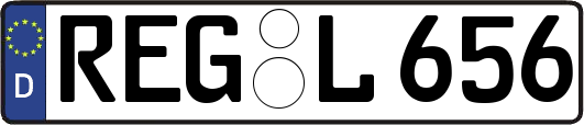 REG-L656