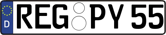 REG-PY55